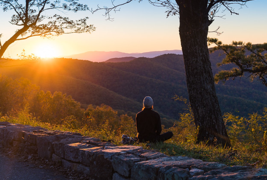 Person meditating in nature